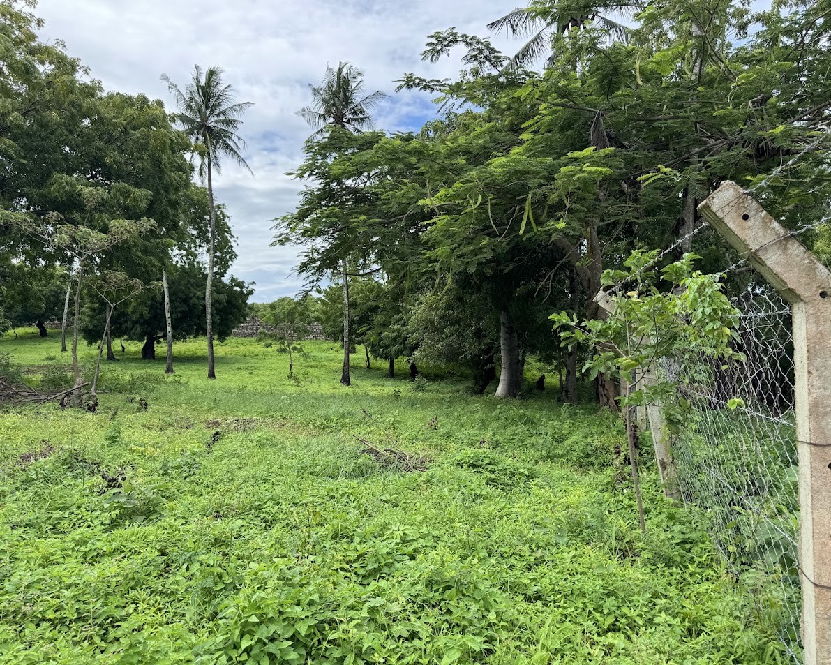 Prime 1/4 Acre Beach Plots Kikambala