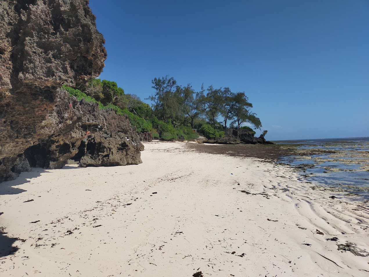 167.5 Acres Waterfront Property Vipingo Kuruwitu