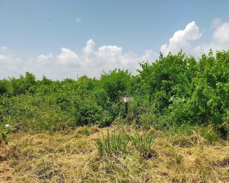 1 Acre 3rd & 4th Row Beach Plots Vipingo Beach Estate